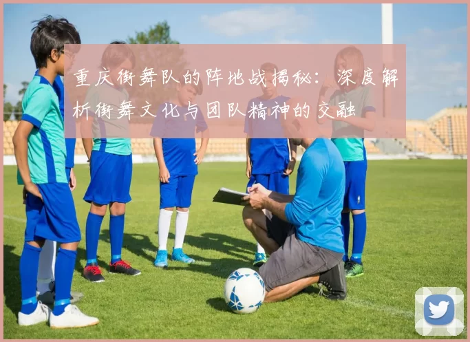 重庆街舞队的阵地战揭秘：深度解析街舞文化与团队精神的交融