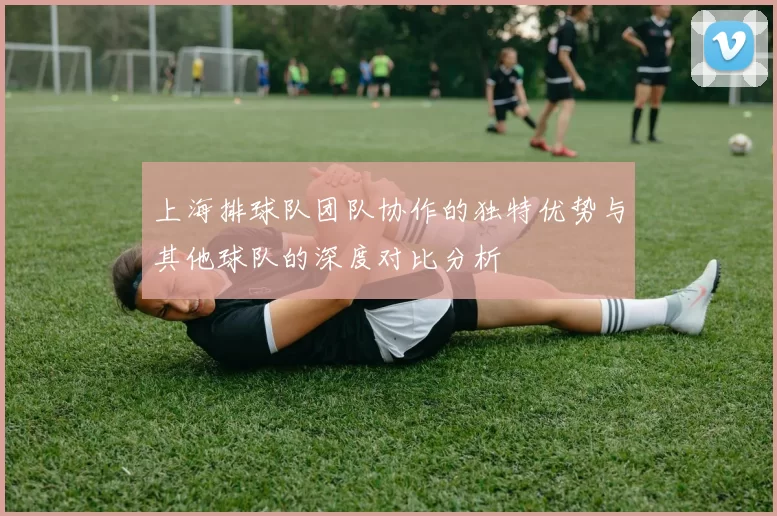 上海排球队团队协作的独特优势与其他球队的深度对比分析
