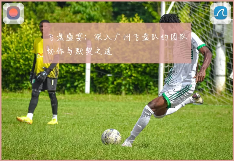 飞盘盛宴：深入广州飞盘队的团队协作与默契之道