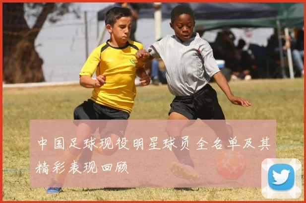 中国足球现役明星球员全名单及其精彩表现回顾